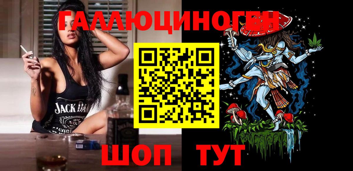 Сибай  Псилоцибиновые грибы Cubensis  Вход с VPN 